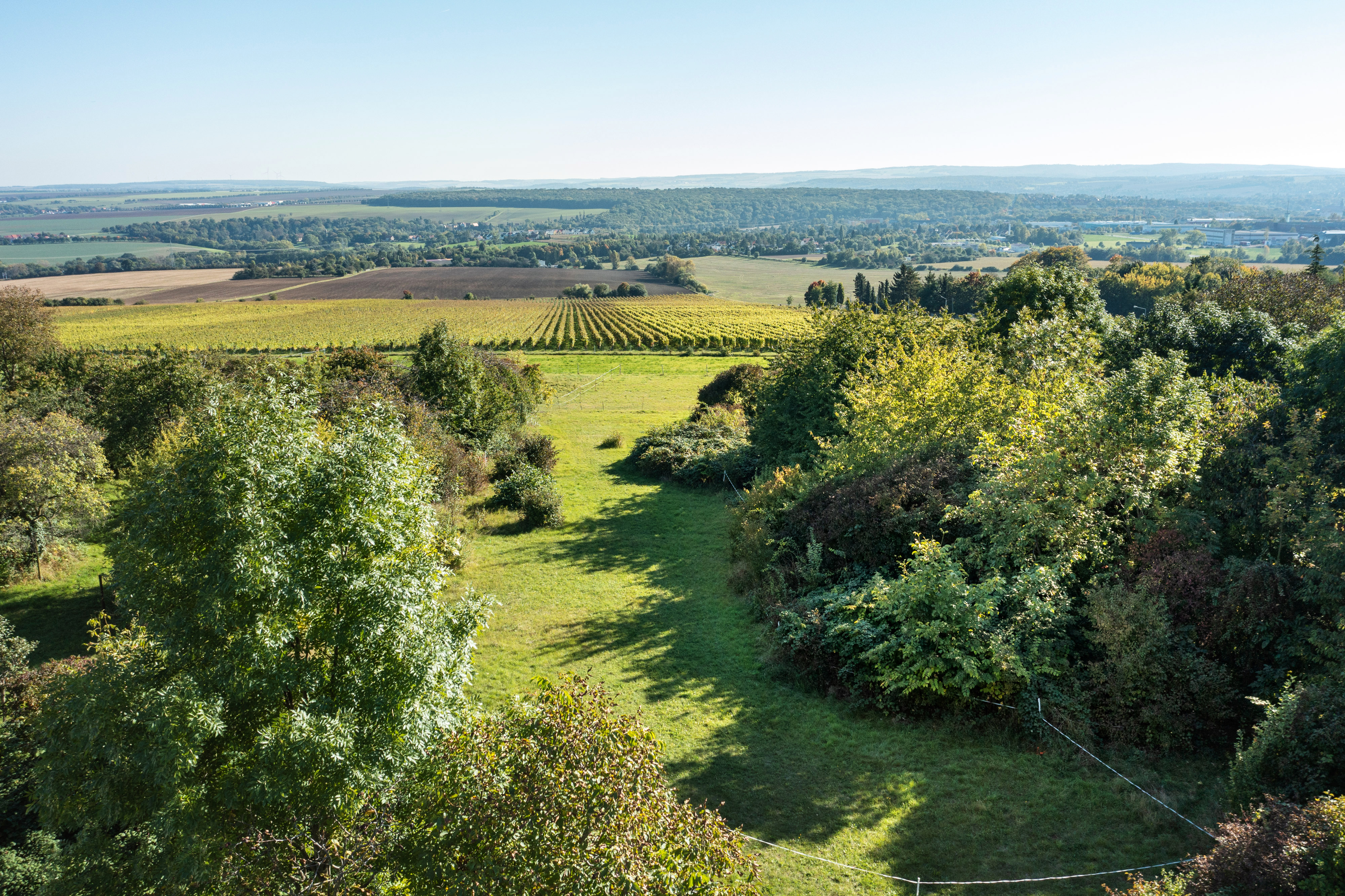 Foto - Blück übers Weingut Weimar