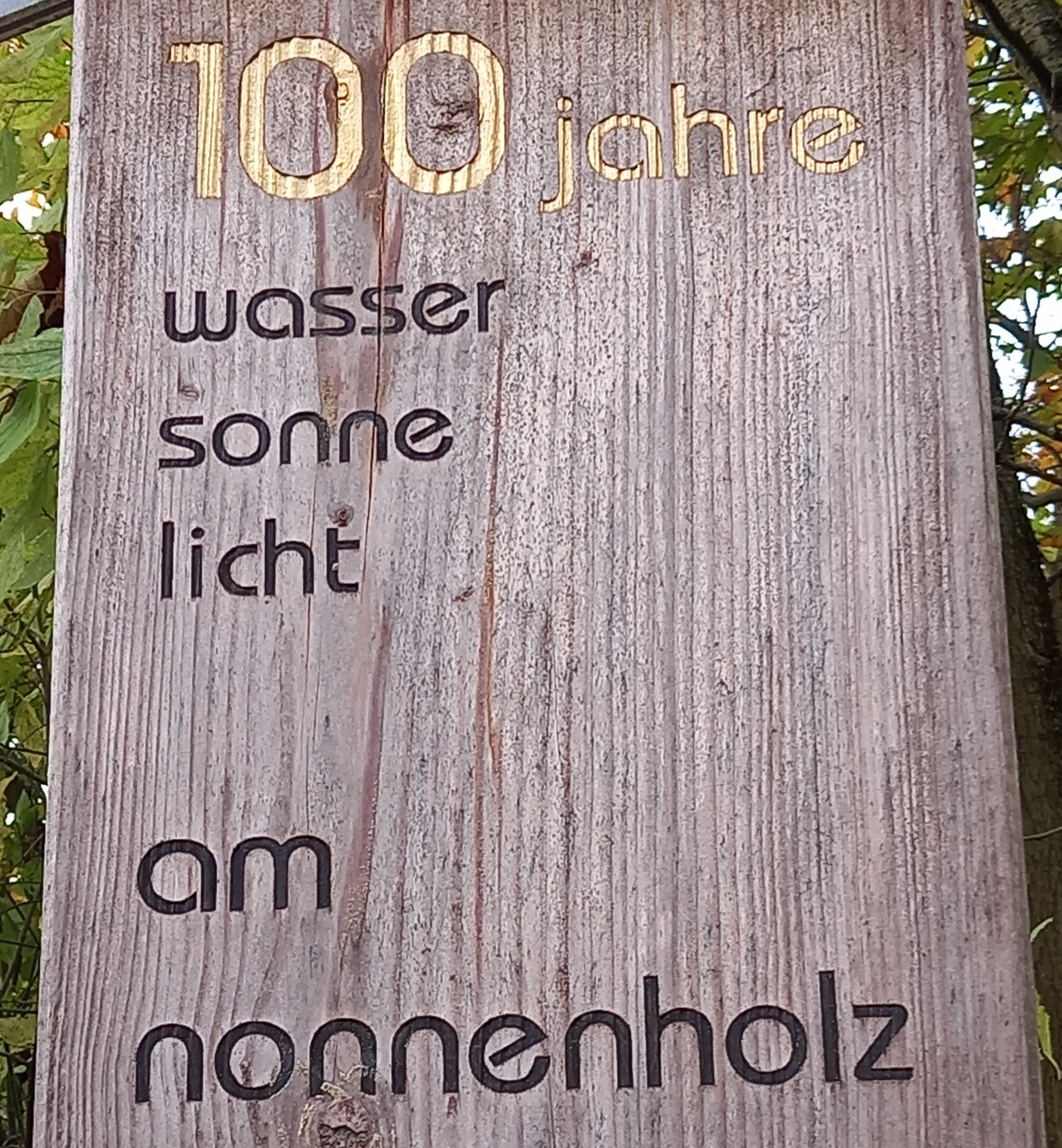 Foto - 100 Jahre Nonnenholz