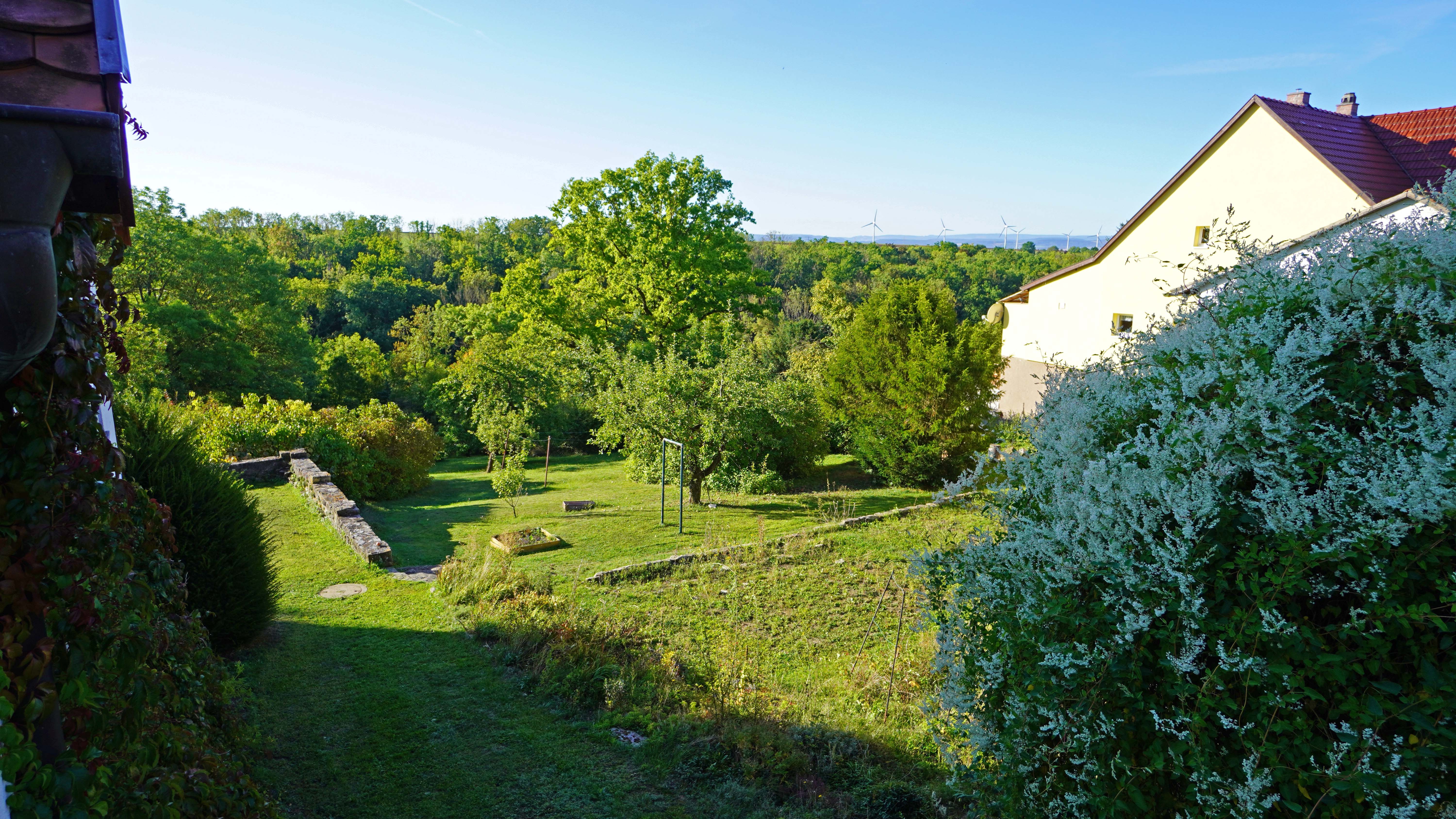 Foto - Blick ins obere Drittel des Grundstücks Bliickrichtung Süd